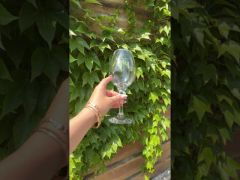 Набор бокалов для Вина 460мл 6шт Pasabahce 440275 video 0