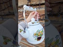Чайник эмалированный 2 л Оливки Zauberg 39-L video 0