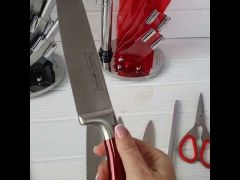 Набор кухонных ножей Edenberg 9 предметов на подставке EB-3616 video 0