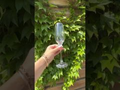 Набор Бокалов для Шампанского 175мл 6шт Pasabahce Enoteca 44688 video 0