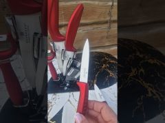 Набор кухонных керамических ножей с подставкой 6 предметов EB-7751 BL video 0