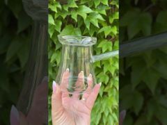Турка для кофе стекло 300 мл FRU-340 video 0