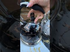 Чайник со свистком EDENBERG EB-8868w белый 3л video 0