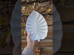 Блюдо Bonadi Лист монстери Белое 20см 988-110 video 1
