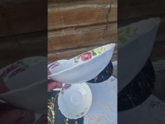Сервиз столовый 19 пр Сиреневый пион Interos 6616-18 video 0