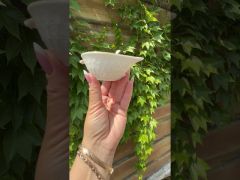 Икорница Interos Снежная Королева 4,5" с ложкой MB0182 -A video 0