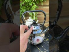 Чайник со свистком Edenberg 2л эмалированный Черный Цветы EB-3352 video 0