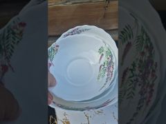 Сервиз столовый 19 предметов Interos Лаванда W-19B video 0