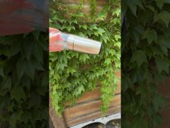 Перцемолка Измельчитель для перца электрическая Maestro MR-1723 video 0