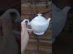 Чайник заварочный круглый 850мл S405313-A video 0