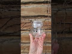 Чашка двойная стенка Мишка 300мл S&T 202-40 video 0